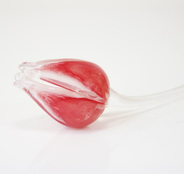 Loranto + Tulp, rood-wit